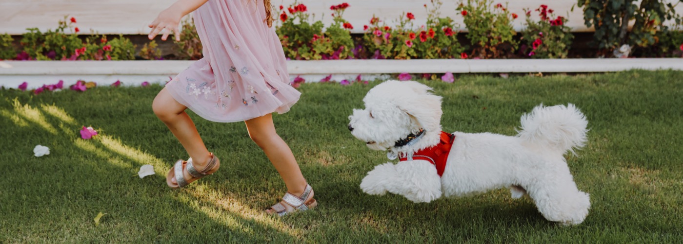 DogWatch of Savannah and Hilton Head Island, Okatie, South Carolina | Outdoor Hidden Dog Fences Slider Image